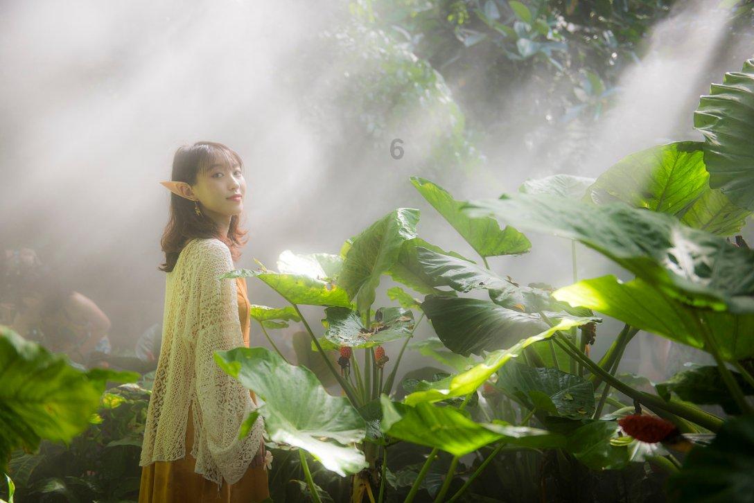 彩色夏天